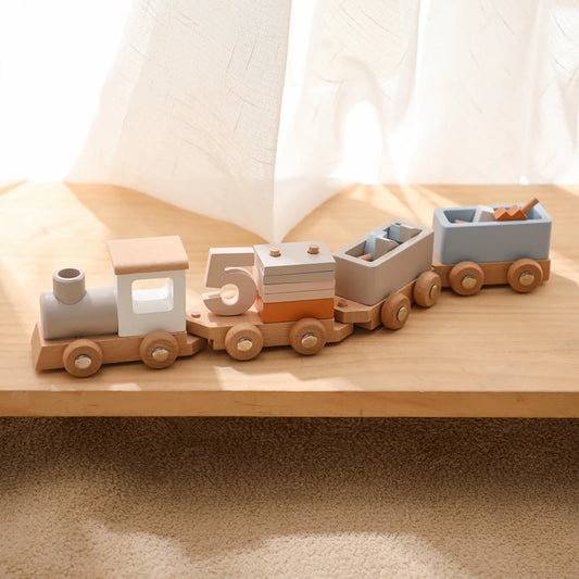 Baby Wooden Train Toy Set
